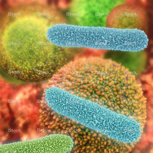 BASHH STI/HIV Modules 3 & 4